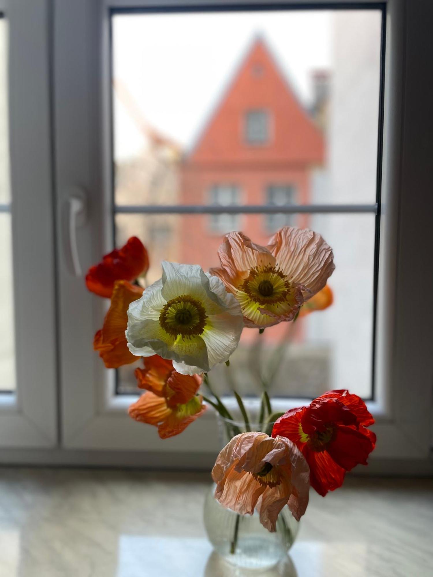 Kolysanka Private Rooms In Old Town พอซนาน ภายนอก รูปภาพ